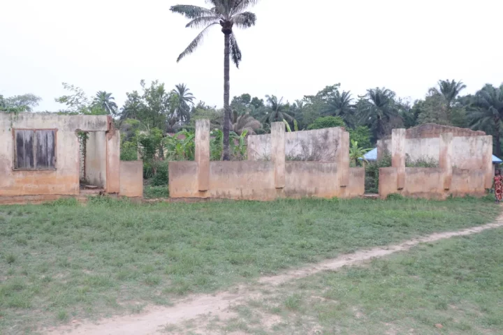 Snakes, lizards take over Benue public schools as teachers, pupils abandon classes