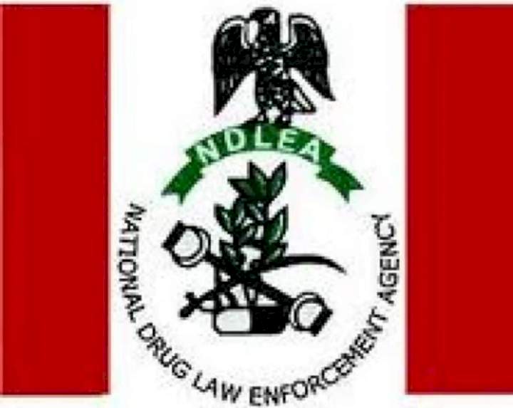 Movies must promote messages against use of illicit drugs - NDLEA tells Nollywood