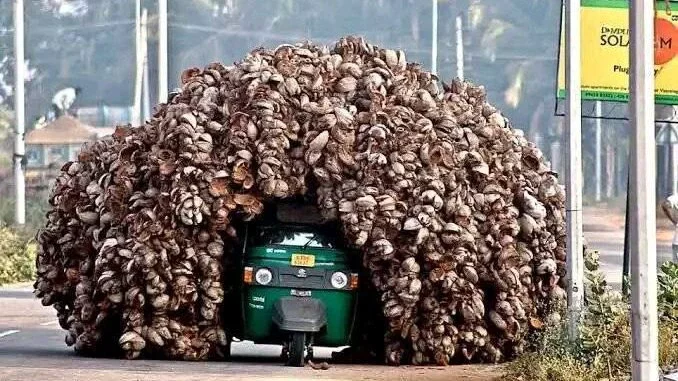 Check Out Photos of Overloaded Vehicles That Are Too Hard to Believe Are Real
