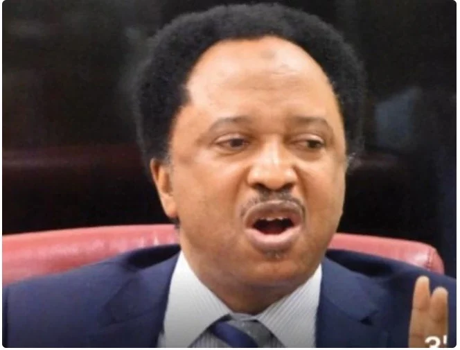 Despite the rise of the dollar, BUA crashed the price of its cement- Shehu Sani