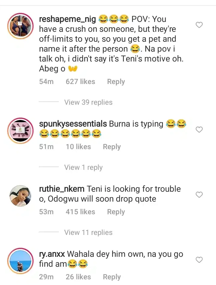 'Odogwu will not like this' - Mixed reactions trail video of Teni calling her puppy 'Burna Boy'