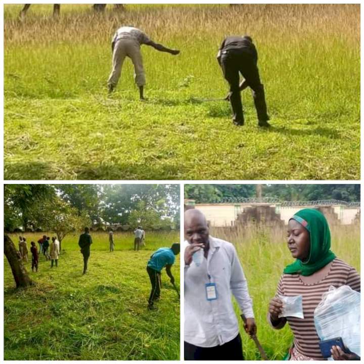 Christians join Muslims to clear grass at Kaduna mosque ahead of Sallah