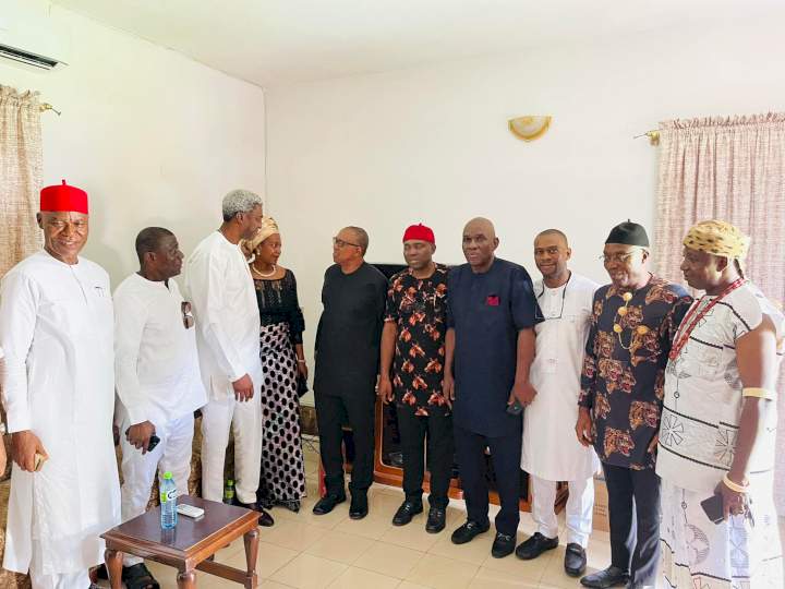 Photos from Peter Obi's daughter's wedding