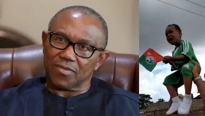 Peter Obi sued for involving toddler in election rally