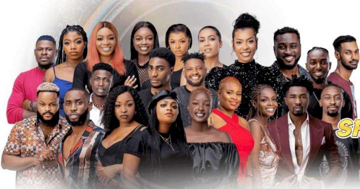 #BBNaija: See how housemates nominated one another as 'wildcards'
