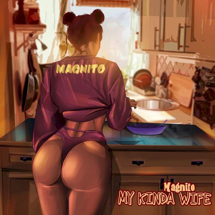 Magnito - My Kinda Wife