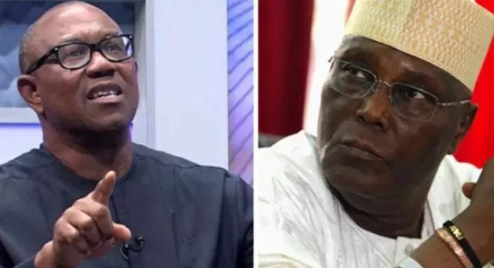 Publish your academic records in 7 days or risk lawsuit, group tells Atiku, Obi