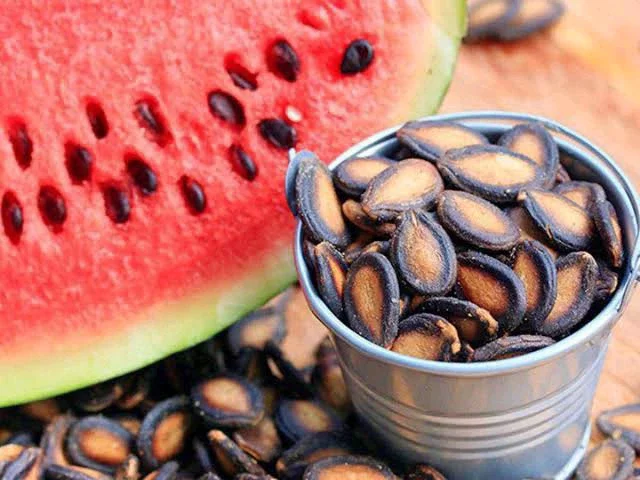 Benefits of eating watermelon seeds