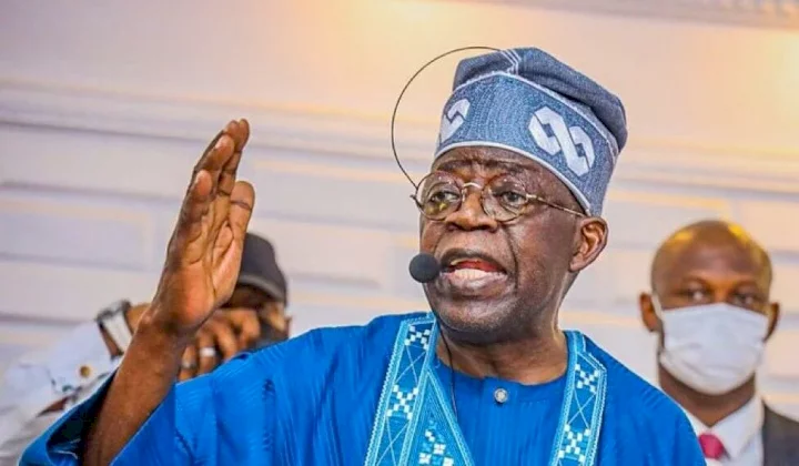 2023: I pity you, Obasanjo can't win his polling unit - Tinubu blasts Peter Obi over endorsement