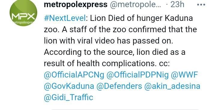 “RIP Lion, you fought a good fight” – Nigerians react as hunger kills Lion in Kaduna state zoo