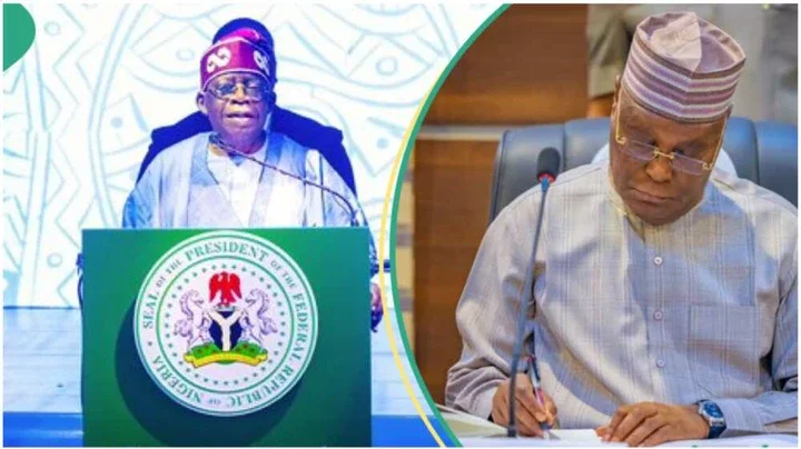 Chicago Certificate: One Reason Tinubu May Be Removed with Atiku's Discovery
