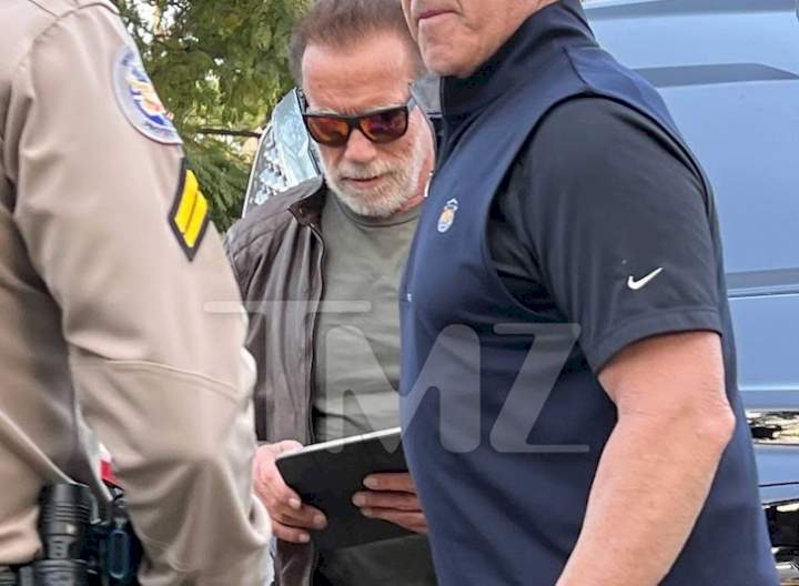 Actor, Arnold Schwarzenegger involved in car crash (photos)
