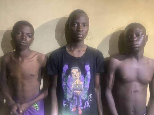 We haven't informed our mother yet - Sister of girl beheaded by boyfriend and friends for money ritual in Ogun says (Details)