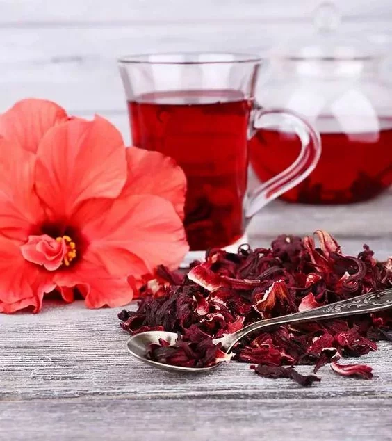5 types of tea that can help you lose weight and fight belly fat.
