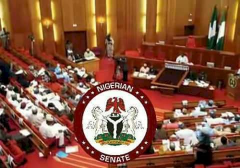 Senate amends rejected electoral bill, includes other modes of primary elections