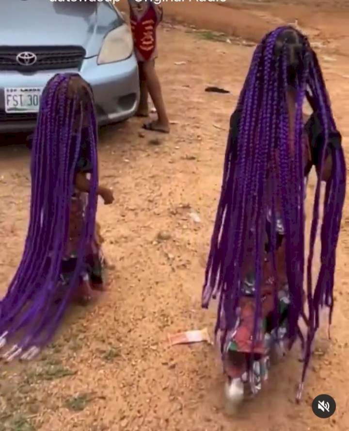 "Why stressing these poor kids" - Siblings on heavy braids stir reactions (Video)