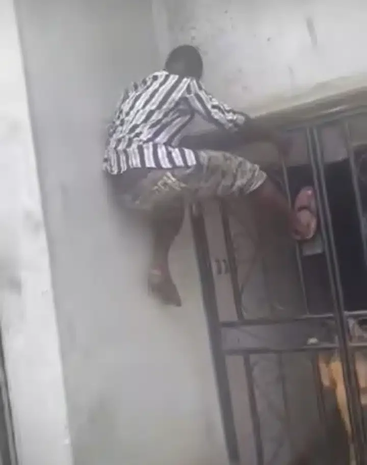 'It won't bite you' - Man runs, climbs iron bars to escape dogs attack (Video)