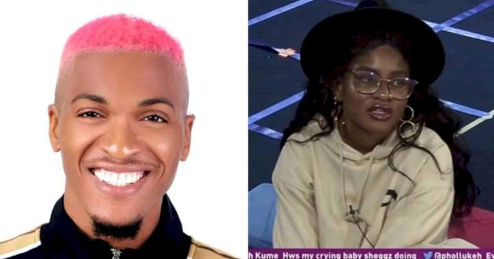 BBNaija: "Let's reduce our public display of affection" - Groovy begs Phyna