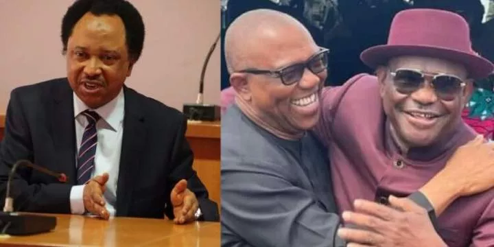 "It's like being nice to a lady you jilted" - Senator Shehu Sani describes Gov Wike and Peter Obi's relationship