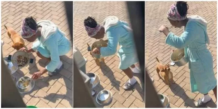 Mother catches daughter eating dog's food (Video)