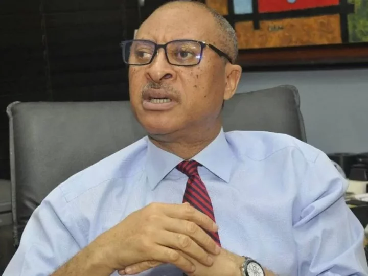 Anti-government protest: Pat Utomi replies presidency on allegations of being organiser
