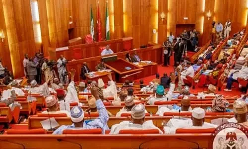 N21m Jumbo Allowances: Our federal lawmakers should be prosecuted - Nigerians