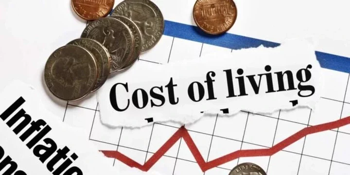 Rising cost of living: 9 ways to thrive in Nigeria