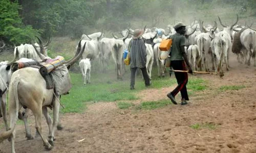 Herders kill three farmers in Edo