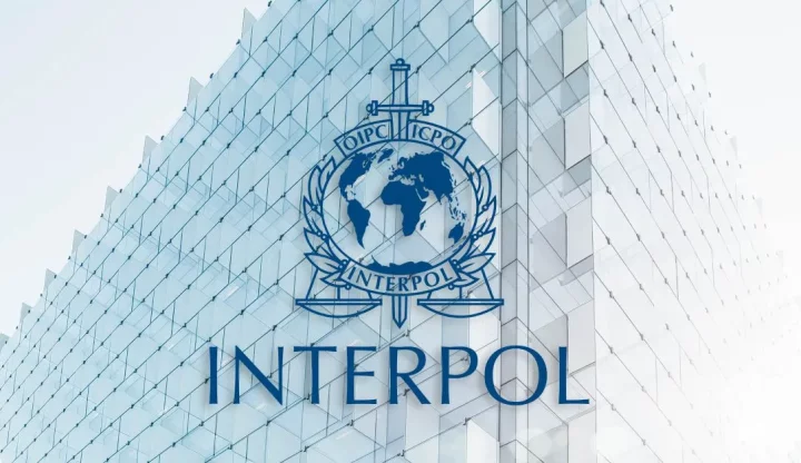 Thousands of dollars flown out of Nigeria every hour - INTERPOL