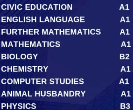 WAEC result of boy who won spelling Bee 17 times goes viral