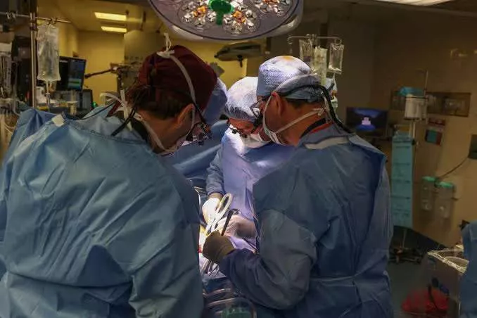 Man gets a new kidney from a pig in groundbreaking surgery