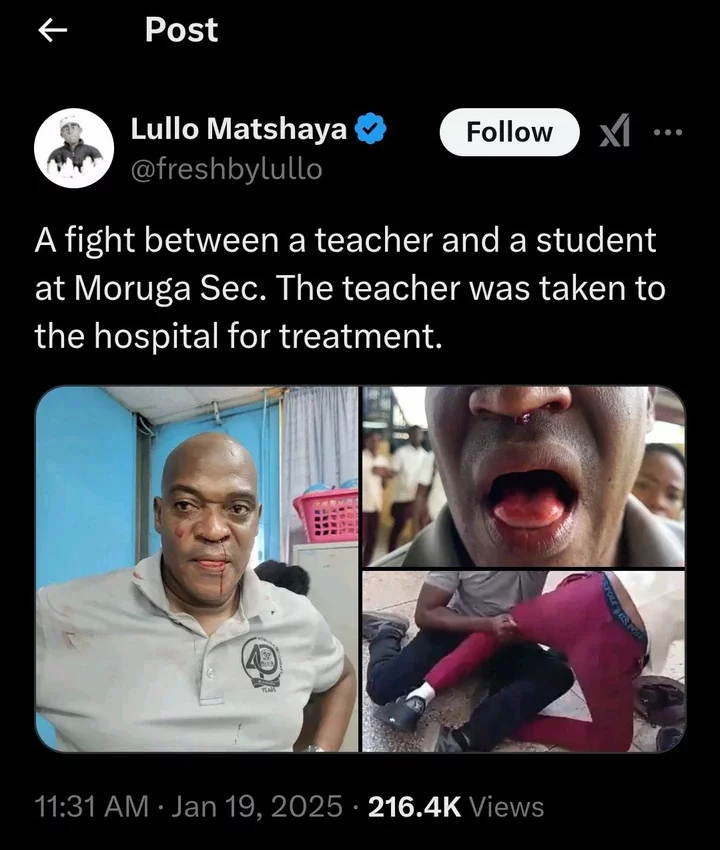 South African student fights teacher