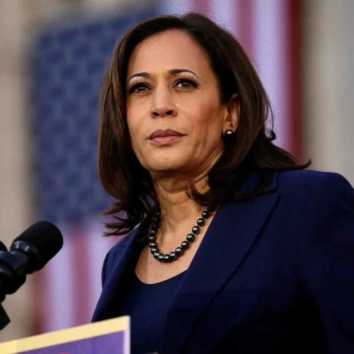 US election: Trump's ex-VP, CoS, NSA, others don't want him - Kamala Harris