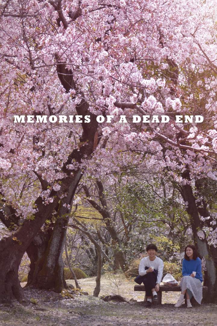 Memories of a Dead End Subtitles (2018) [Korean]