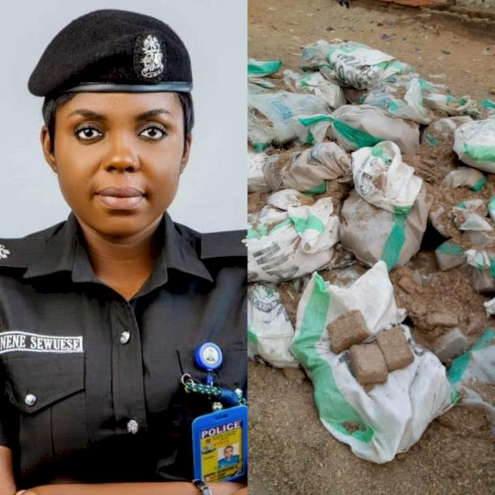 Crushed papers and not cash were recovered from discovered sacks - Benue police spokesperson clarifies