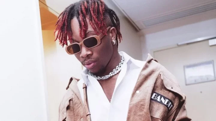 I wish I sang some of Omah Lay, Fireboy's songs - Oxlade