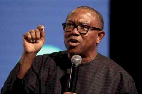 I won't respond to spokespersons or third-party entities - Peter Obi says