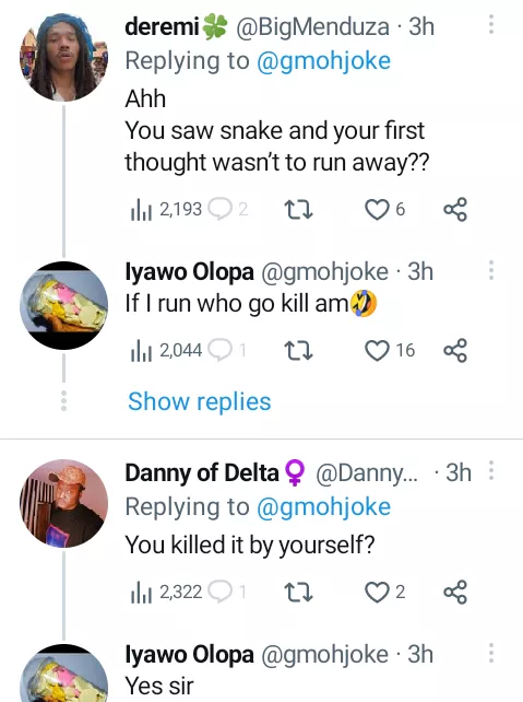 Nigerian woman kills snake that entered her kitchen