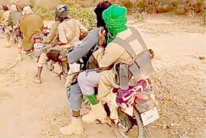 Terrorists abduct two construction workers in Niger