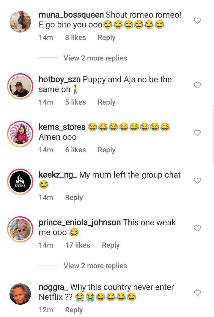 Reactions as Nigerian mum showers prayer of healing on daughter's sick 'dog' (Video)