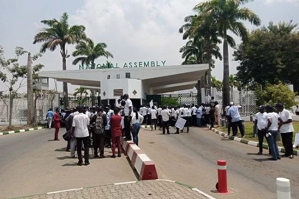 Beat Us but Don't Kill Us, Senators Beg Protesters After NASS Invasion