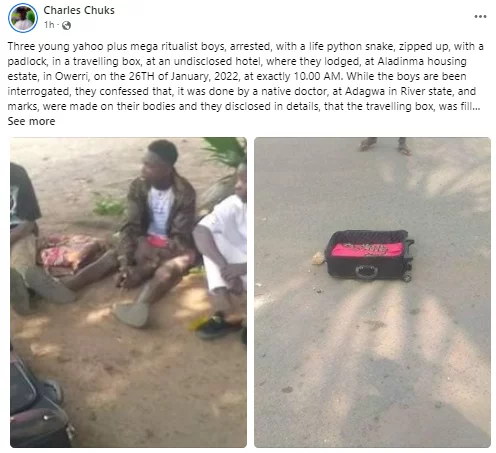  Suspected Yahoo boys arrested in a hotel after being caught with live snake in their luggage