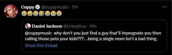 Get a guy to impregnate you and stop calling those pets your kids - Man lashes out at DJ Cuppy, she reacts