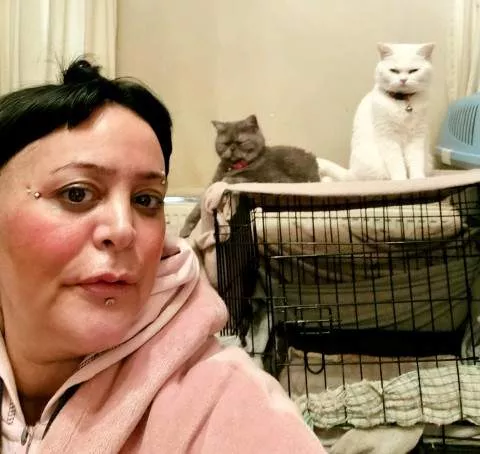 Woman starves herself to just one meal a week so that her 6 cats don't go hungry