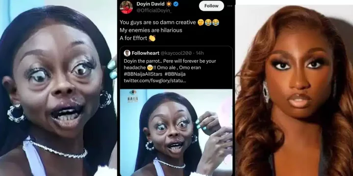 "A for effort, my enemies are hilarious" - Doyin reacts as fan calls her 'parrot' and shares her photoshopped photo
