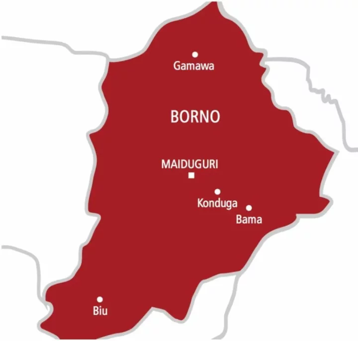 IED mistaken for scrap metal blast kills 6 Almajiris in Borno