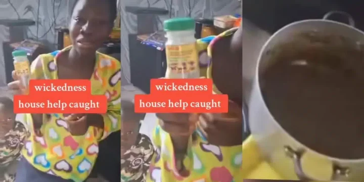 House help caught red-handed trying to poison boss's food with insecticide