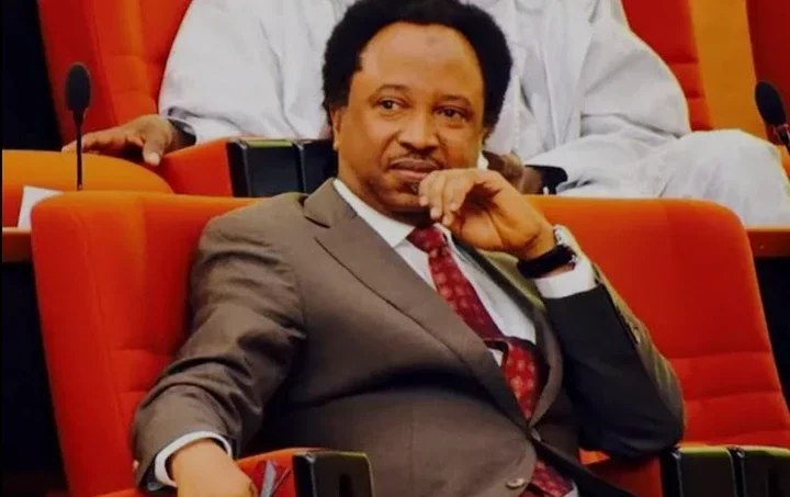 Every Rivers Assembly Member Is Like a Beautiful Woman Contested by Two Rich Suitors-Shehu Sani