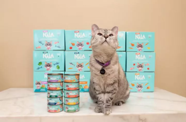 Meet Nala, the richest cat in the world with a net worth of over $100m