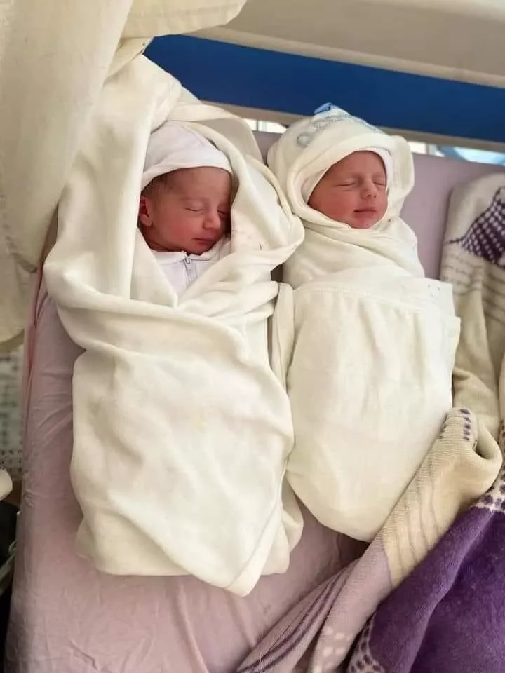 Man inconsolable as his newborn twin babies and wife are k!lled in Israeli airstrikes in Gaza hospital while he went to get their birth certificate (video)